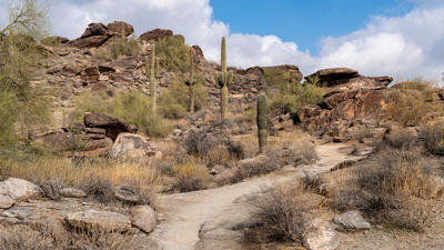 Inexperienced, ill-equipped hikers rescued from sizzling heat after falling ill and becoming lost on Arizona mountain