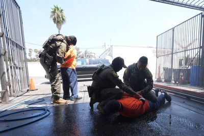 Photos of border patrol arresting a woman selling food and workers at an LA car wash