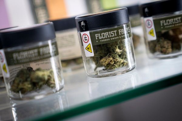 Marijuana shops sue New York after they were allowed to open too close to schools