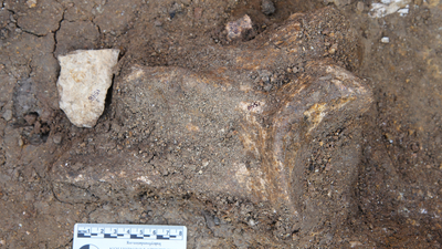 2.6 million-year-old stone tools reveal ancient human relatives were 'forward planning' 600,000 years earlier than thought
