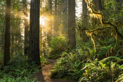 Look up: five hopeful novels about the climate crisis