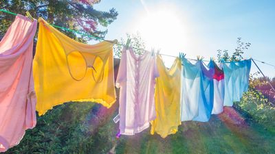 Experts share the surprising reason you should be drying your laundry outside this summer, and it's got nothing to do with your energy bills