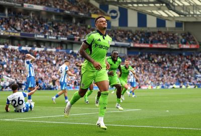 Brighton 1-1 Fulham: Rodrigo Muniz stoppage-time equaliser earns Cottagers last-gasp draw