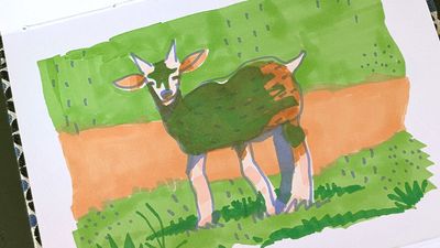 Inside the charming and colourful sketchbook of illustrator and animator Carlotta Notaro