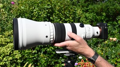 Sigma 300-600mm f/4 DG OS Sports review: Sigma's supersize "dream lens" is now a reality