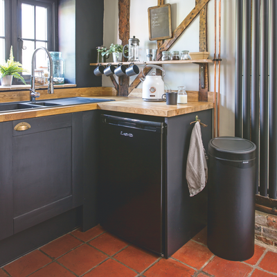 How to prevent maggots in a kitchen bin – 4 expert-approved ways that mean you never have to deal with this gross problem again