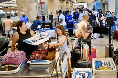 Airfares are surging again after a months-long slump as carriers trim flights to ease a capacity glut