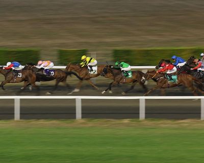 Horse racing to go on strike in protest against government’s planned betting tax rise