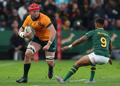 Wallabies break South Africa’s aura of invincibility in win that asks: is Australian rugby back?