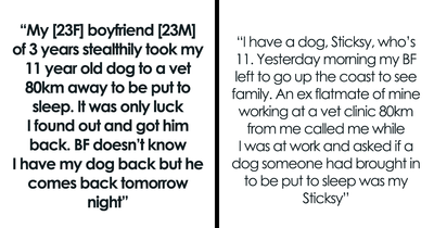 “He Was Shocked”: Psycho BF Lies About GF’s Dog, Doesn’t Realize She Knows Everything