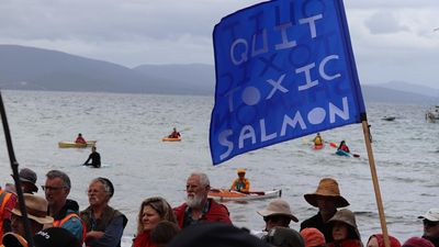 Crossbencher backs Libs amid salmon industry probe