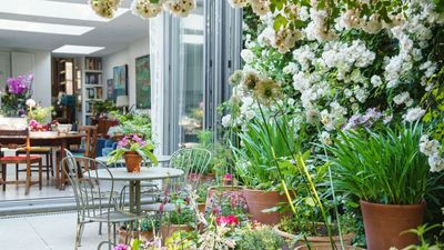 Explore a narrow London rose garden with all the softness and whimsy of the English countryside
