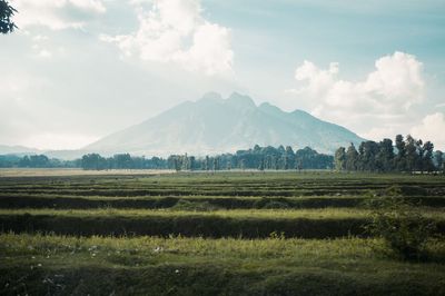 Why Rwanda needs to be on your bucket list: a first-timer’s guide to ‘the Land of a Thousand Hills’