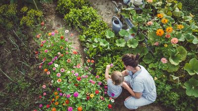 I'm a horticultural therapist, and these are the 5 most incredible ways I've seen gardening transform people's health