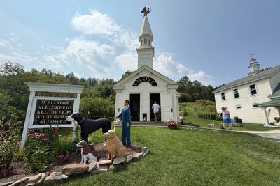 Dog Mountain is the perfect place to celebrate the bond between dogs and their humans
