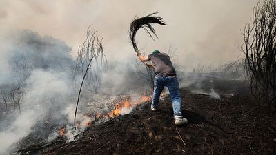 Wildfires in Spain and Portugal force evacuations and deployment of thousands of emergency personnel