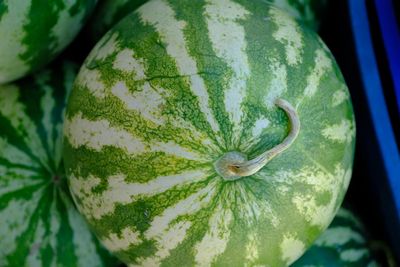 Why Some Grocery Items Vanish Every Summer