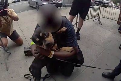 Moment stolen dog is reunited with owner after subway theft