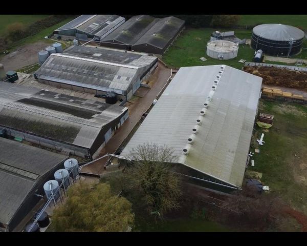 Supermarkets suspend supplies from Lincolnshire pig farm after covert filming of animal abuse