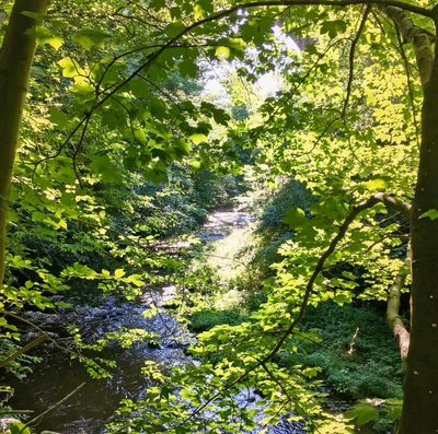 Country diary: A wildlife haven on the fringe of the city