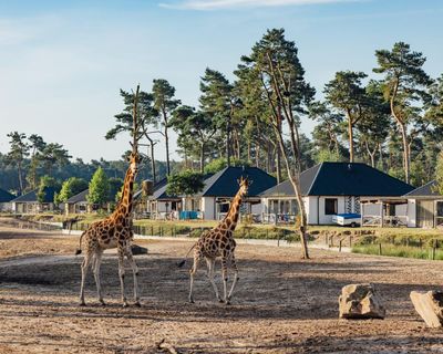 We’re on safari … in the Netherlands