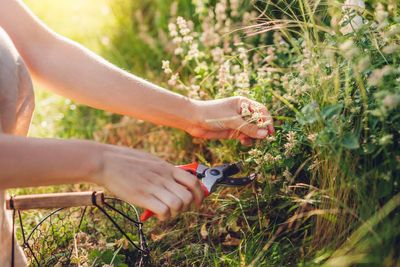 Experts reveal 11 ways you can prepare your garden for autumn