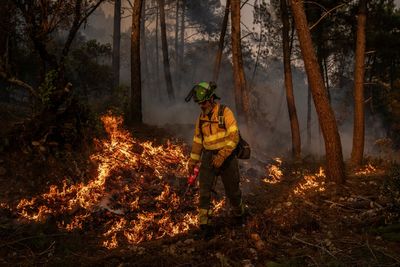 Spain wildfires spread to southern mountains as 27 arrested