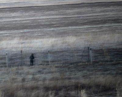 Poem of the week: Search Engine: Notes from the North Korean-Chinese-Russian Border by Suji Kwock Kim