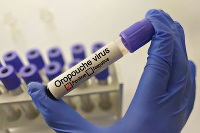 What is the latest travel advice for Oropouche virus? Tips for staying safe abroad