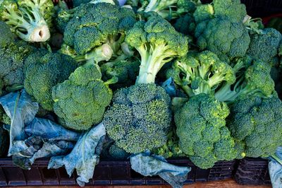 UK braces for broccoli shortages amid warning vegetable could be smaller
