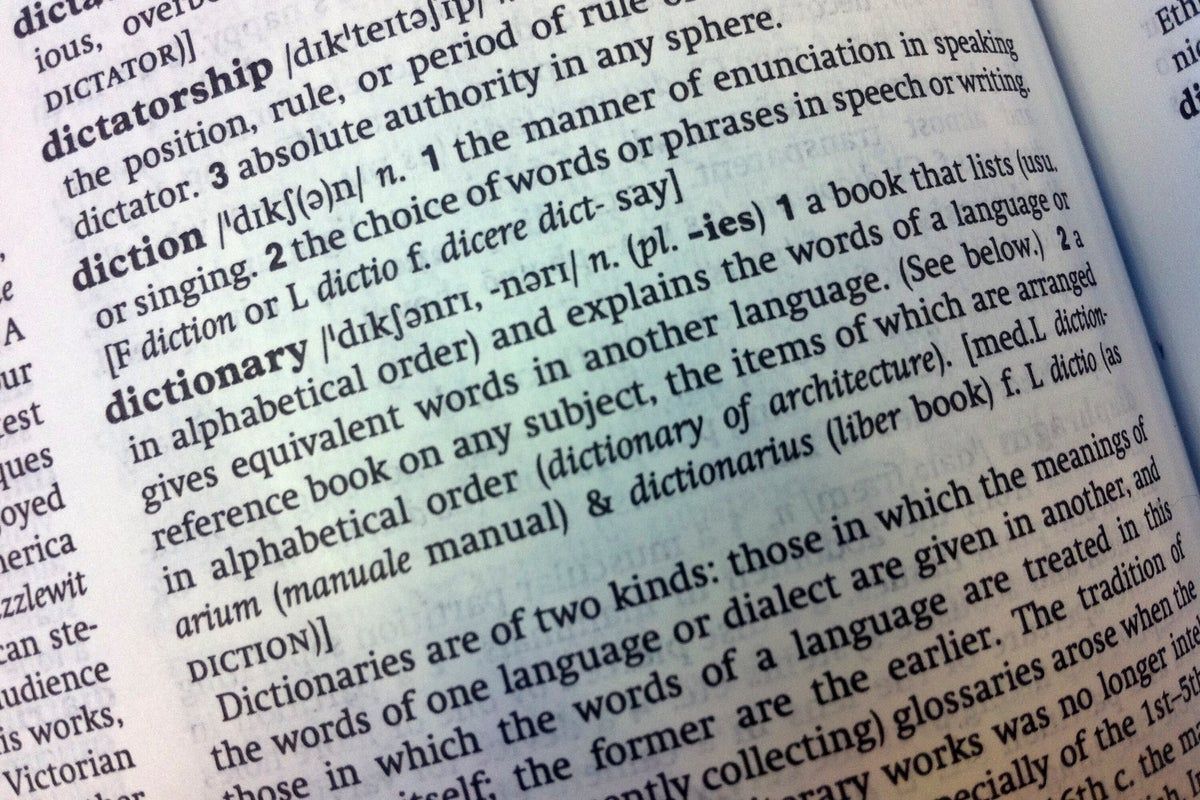 Cambridge Dictionary adds 'skibidi' and 'tradwife'…