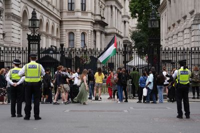 Pro-Palestine activist in court after 'banging pots and pans outside Downing Street'