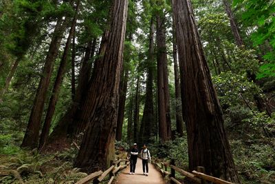 Trump’s move to sanitize US history gets little support with national park visitors