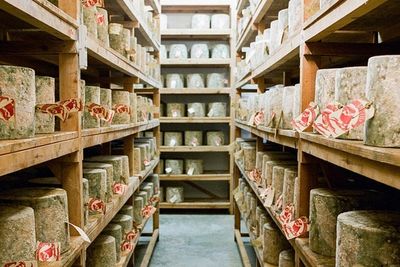 Police make further arrests in Neal’s Yard Dairy cheese robbery