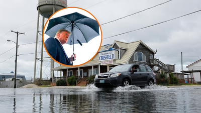 ‘Maryland’s Trumpiest city’ both financially and literally underwater after Trump cancels flood protection FEMA grant