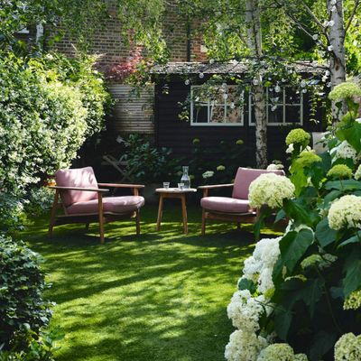 Never prune these plants in August if you want them to flower again next year