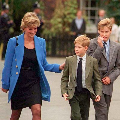 Princess Diana Reportedly Left Warnings For Harry and William About the ‘Difficult Path They Were Born To Follow’