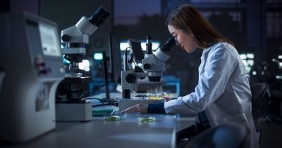 Applied Digital Shares Jump as Company Announces $3 Billion Polaris Forge 2 AI Campus in North Dakota