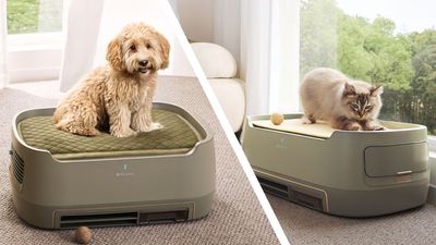 I'm obsessed with this pet bed-air purifier combo that apparently sucks up hair, dander, and pet smells right at the source