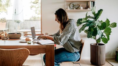 How to go freelance, 4 tips for a seamless transition