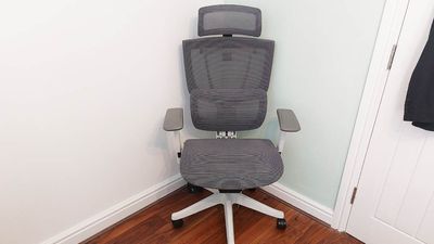 FlexiSpot C7 Office Chair review: ergonomically supportive office or WFH solution – with one design flaw
