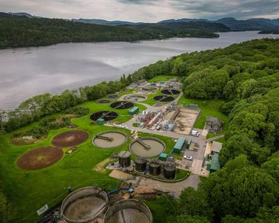 Most of Windermere polluted with sewage bacteria, finds biggest survey of its kind