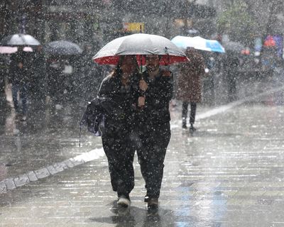 NSW daily rainfall could ‘nudge triple figures’ with wet weather forecast to intensify