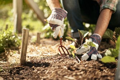 How second-hand tools, plants and furniture could spruce up your garden