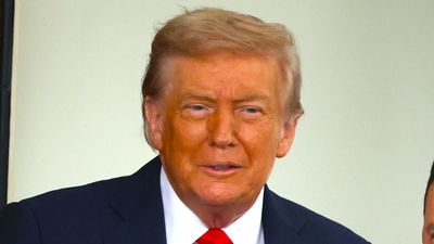 ‘They asked me for my license plate’: Confused Donald Trump insists bringing your license plate to the voting booth is mandatory