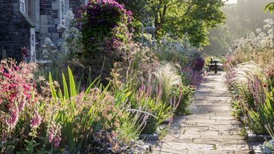 7 plants to deadhead in August – for a second flush of blooms in early fall