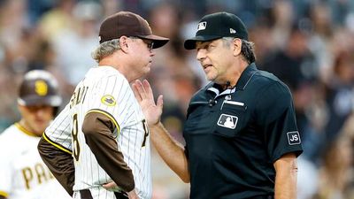 Mike Shildt Rips MLB Replay Officials for Controversial Call Overturning Home Run