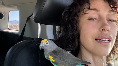 From Prostitution Ring to Parrot Paradise: How Heidi Fleiss' Controversial Life Inspires Aubrey Plaza