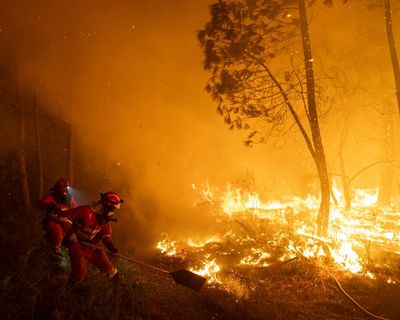 Wildfire smoke far more dangerous to health than thought, say scientists