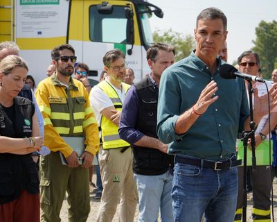 Deadly wildfires show Spain must better prepare for climate crises, says Sánchez